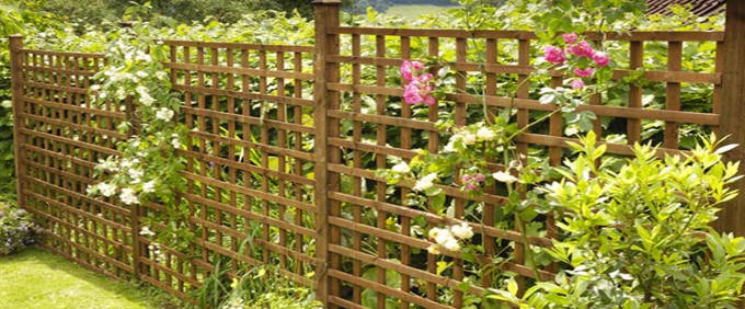 Garden Trellis Fence Panels