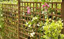 Trellis Panels Nottingham | Trellis Fencing Panels Nottingham