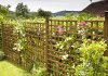 Trellis Fencing