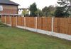 Trellis Fencing